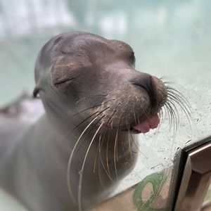 Meet your Posher, Courtney